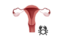 Fertile window tracking