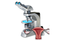 Common Mistakes That Can Reduce the Chances of Pregnancy After IVF
