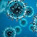 الوقاية من فيروس كورونا